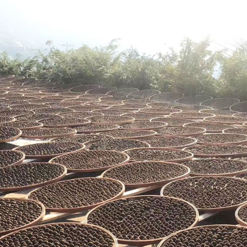 013 Small green tangerine Pu 'er