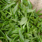 005 High mountain green tea